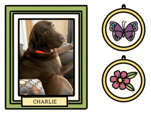 Graphic design featuring Sherry's dog, Charlie