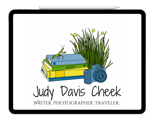 Ipad showing the logo for Judy Davis Cheek