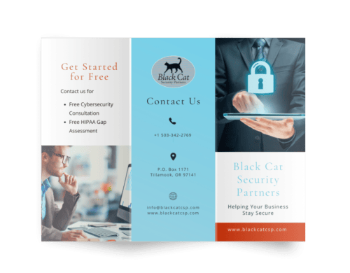 Brochure for Black Cat Security Partners