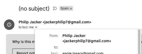A close-up image displaying an email address from a spam email. (3)